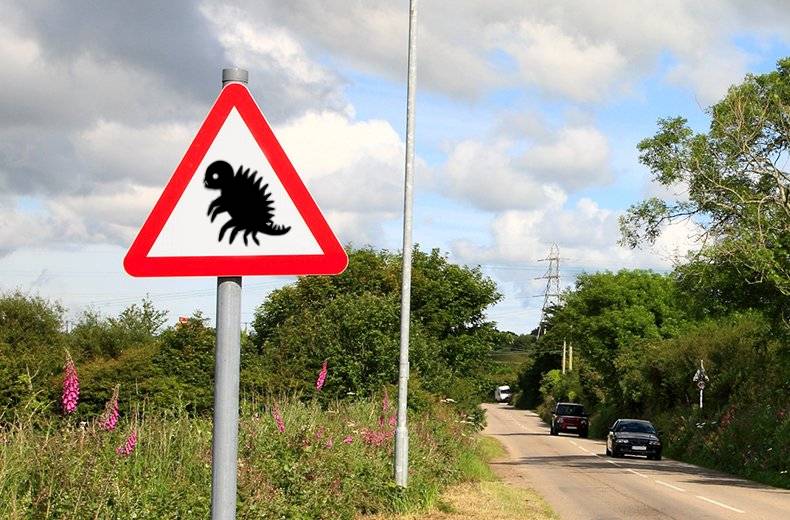 Be careful. They are everywhere.